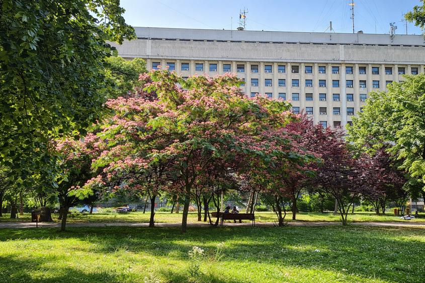 2 CAM> locatie centrala> 3 min Gara de Nord > bloc reabilitat> Mutare imediata - 9