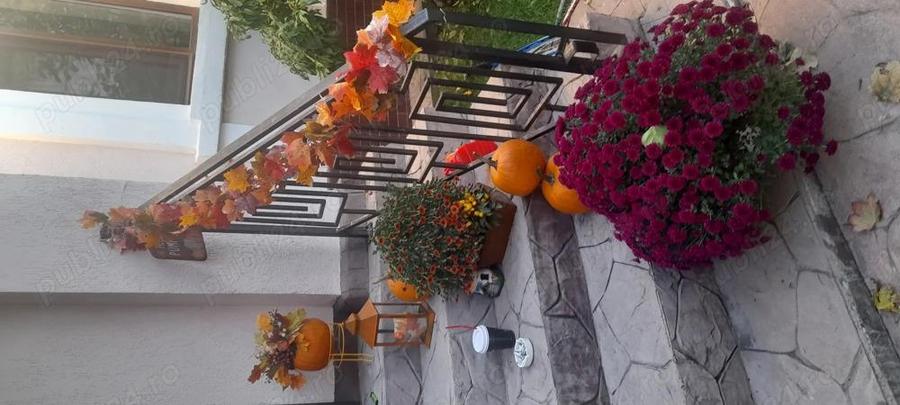 Casa deosebita impecabila - 4