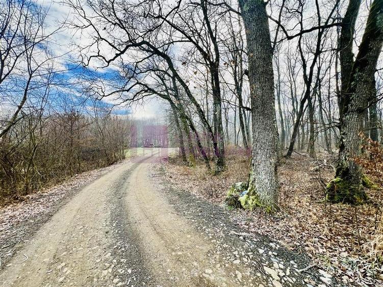 Teren intravilan | 16.100 mp | cartier de case | Cisnadie - 2