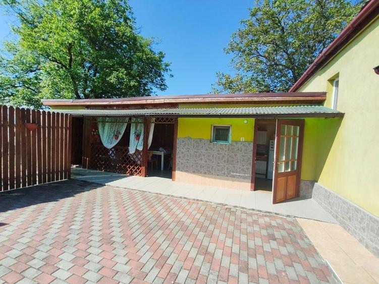 Casa cu gradina roditoare si teren 3000 m2 de vanzare Sacadate, Sibiu / House with Garden and 3000 m2 Land for Sale Sacadate, Sibiu - 4
