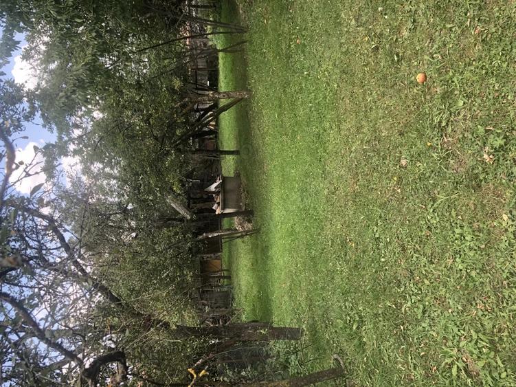 Casa batraneasca de vanzare in satul Martanus, Jud. Covasna - 9