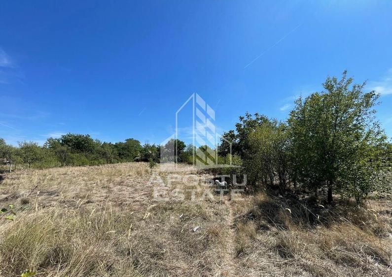 Casa cu teren 3407 mp, la asfalt, Seceani, 26 km de Timis... - 7