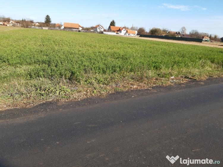 Teren intravilan central utilitati construibil Lunca Calnicului 2325mp. - 4