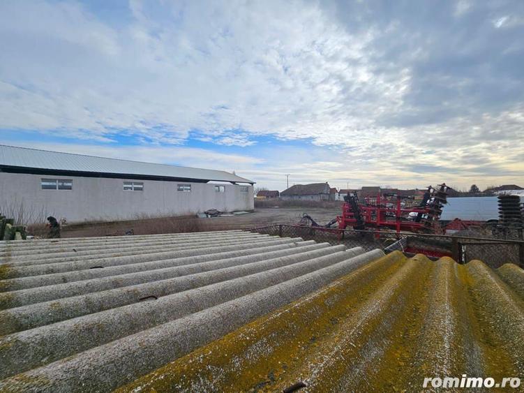 Gotlob hala utilaje casa p+m teren 2507 mp - 10