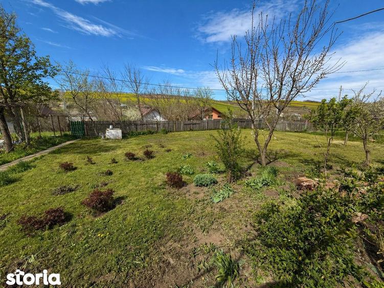 Teren 3550mp, 10km de Iasi, casa - 1
