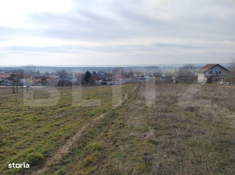 Teren intravilan, Malu Mare, 1469 mp, Aleea I Nucilor - 4