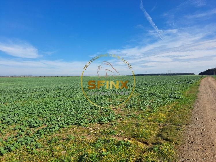 Teren intravilan Branesti 27000 mp km 12 Autostrada A2 - 3