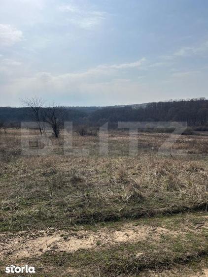 Teren intravilan de vanzare, 9783 mp, Paleu zona Iacului - 6