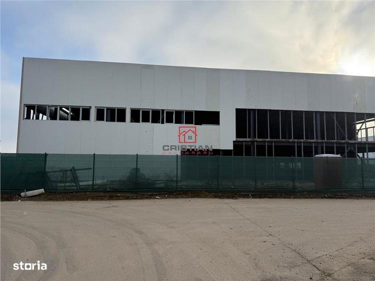 Vanzare depozithalaspatiu industrial Otopeni - Centura, Ilfov - 6