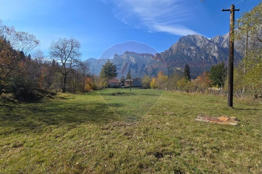 Teren intravilan cu vedere spectaculoasa spre Crucea Caraiman - 2