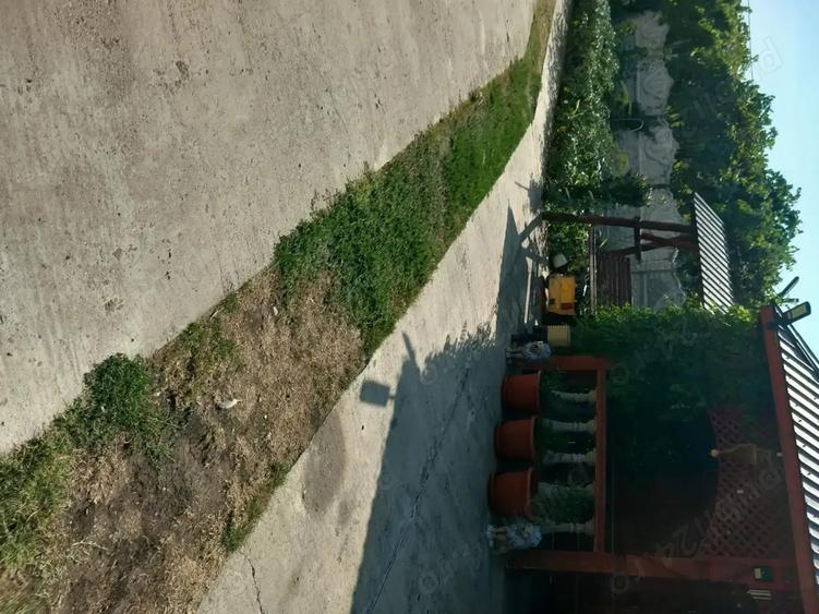 Casa de vinzare la tara - 2