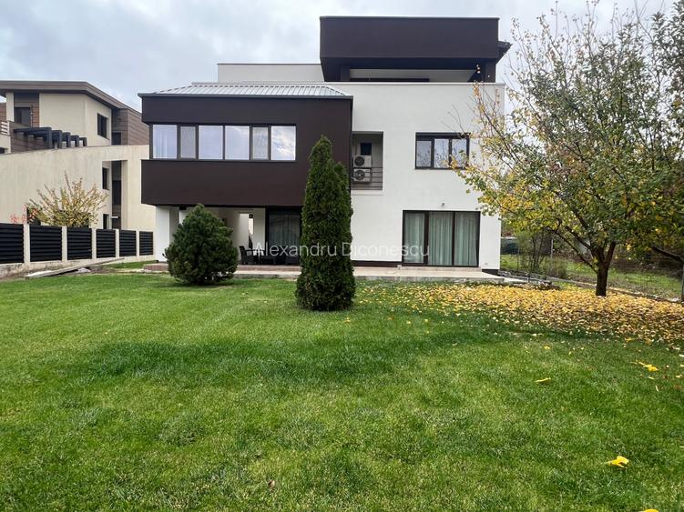 Dimitrie Leonida Metrou