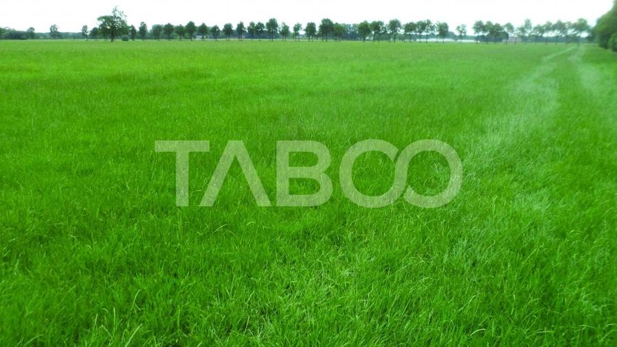 Teren intravilan deschidere 35 ml 7000mp in zona Industrial Vest Sibiu - 2