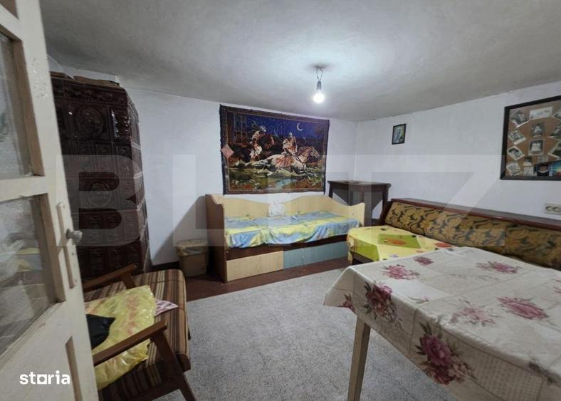 Casa cu teren generos si balta de pescuit Gaesti - 15