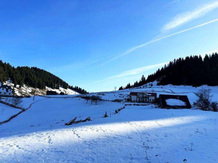 Teren intravilan 8400 mp, Fundata, zona Bran -  Moieciu - 8