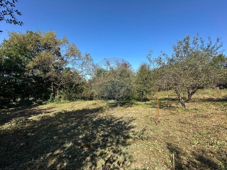 TEREN intravilan cu potential - 3