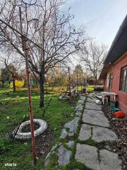 Casa cu teren 1.000 mp in Frumusani, aproape de Bucuresti - 7