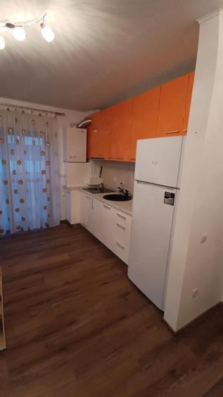 Apartament 2 camere mobilat utilat Doamna Stanca - 8