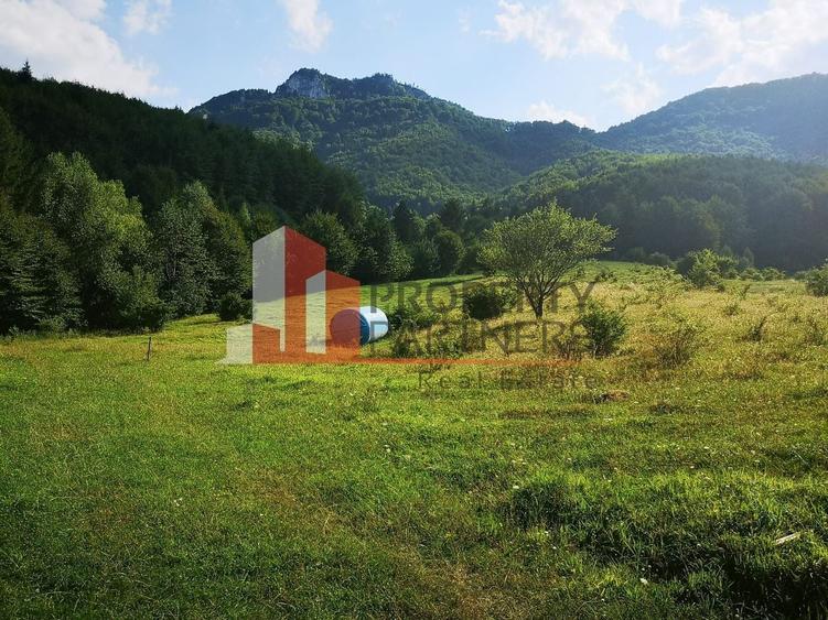 Teren Bran Tohanita | Intravilan 1.500 mp | Vedere Panoramică| - 8