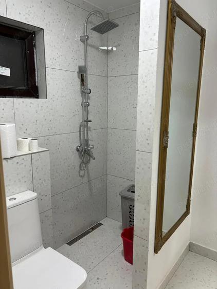 vand casa in satul de vacanta Groseni judetul Arad - 3