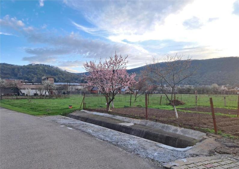 RECO Apartament cu curte, garaj si gradina Astileu - 6