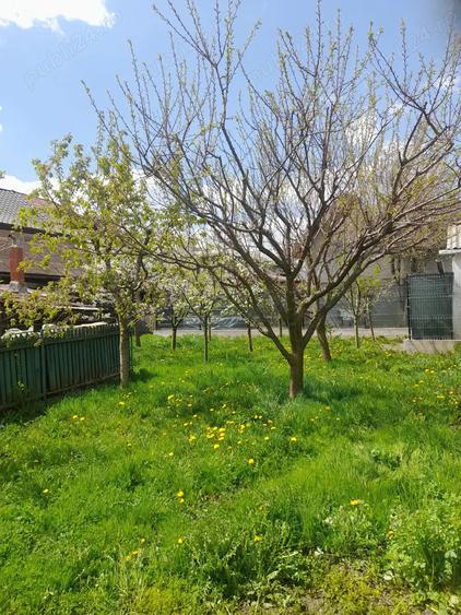 Vanzare Casa Proprietar Campulung Moldovenesc - 9