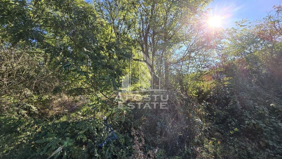 Teren Intravilan Cuied 3260 mp Comision Zero % - 2