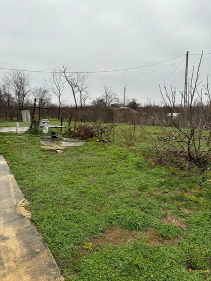 Vand casa la tara - 4