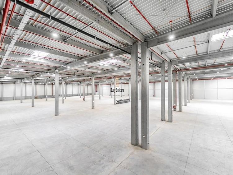 Spatiu Industrial - 1500 mp - Logistica - Depozitare - Distributie - 3