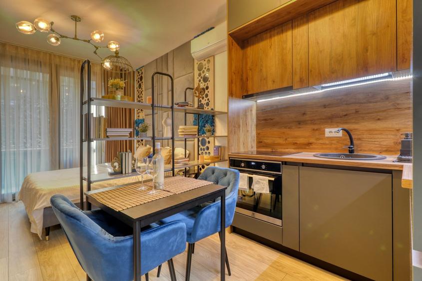 Studio Win Herastrau I Ideal investitie - 3