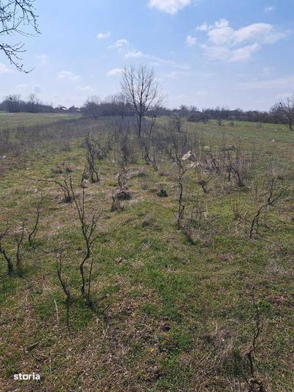 Teren intravilan - 1