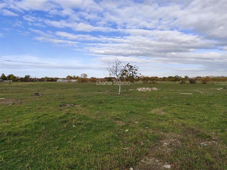 RECO teren intravilan Cefa cu proiect casa