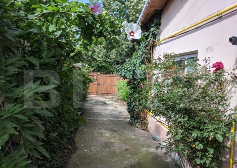 Casa 5 camere, 170mp, 1200mp Teren, Dorobantu - 31