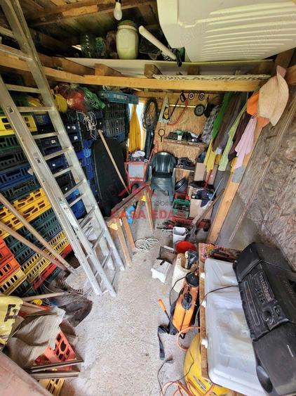 Teren extravilan in Baicoi 10.000mp plantatie mure --80.000e - 5