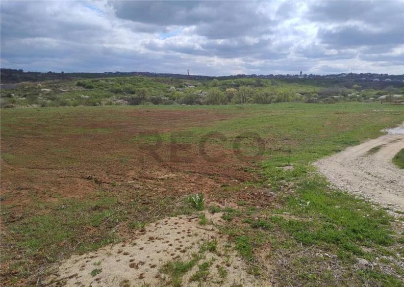 RECO Teren intravilan, Paleu - 1