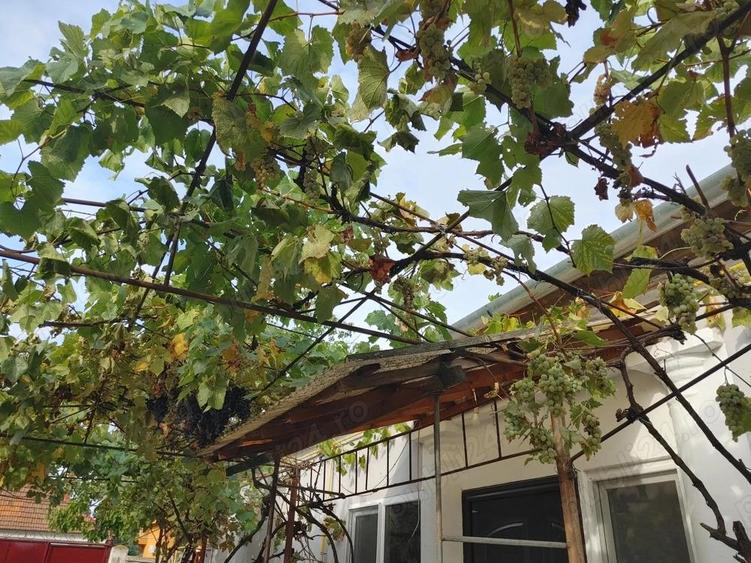 Dau in chirie casa 3 camere Episcopia - 1