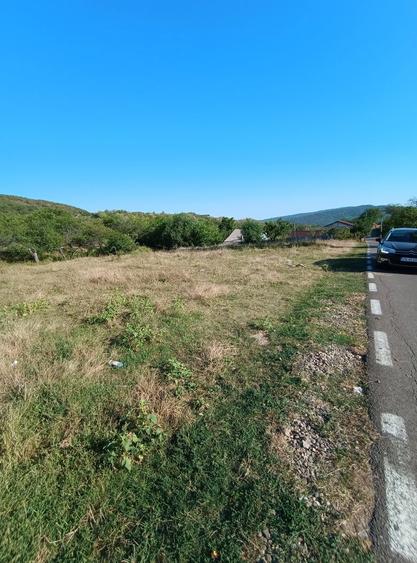Teren intravilan sat Poiana Cristei - 1