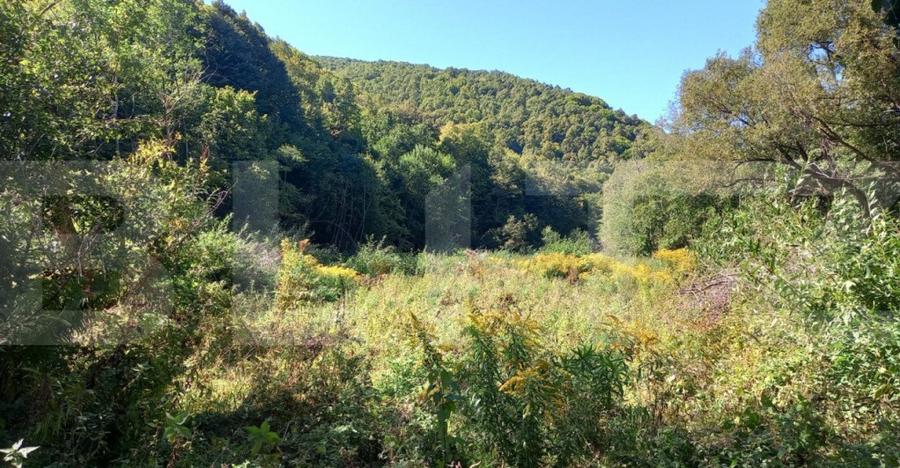 Teren intravilan in zona Valea Ierii, 9691 mp, front 84,71ml - 2