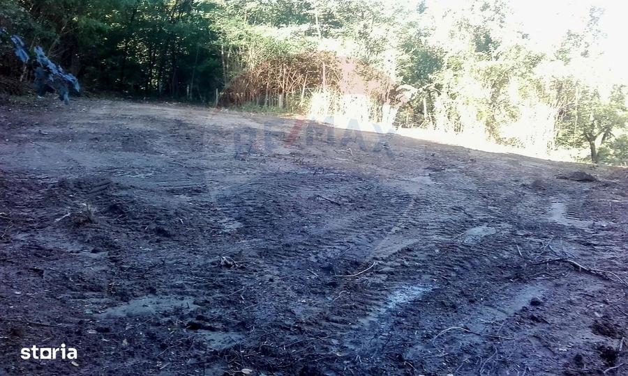 Teren 962.79mp Bujoreni / Strada Stejarului - 7