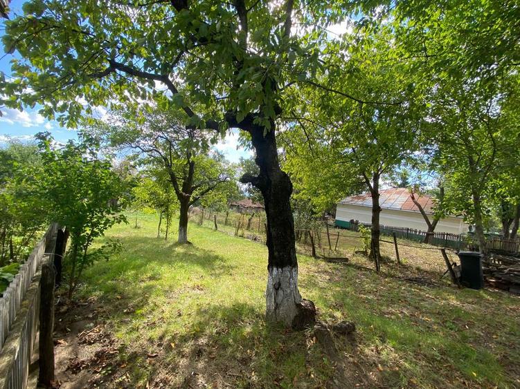 De vanzare casa spatioasa in Ciortesti, jud. Iasi - 4