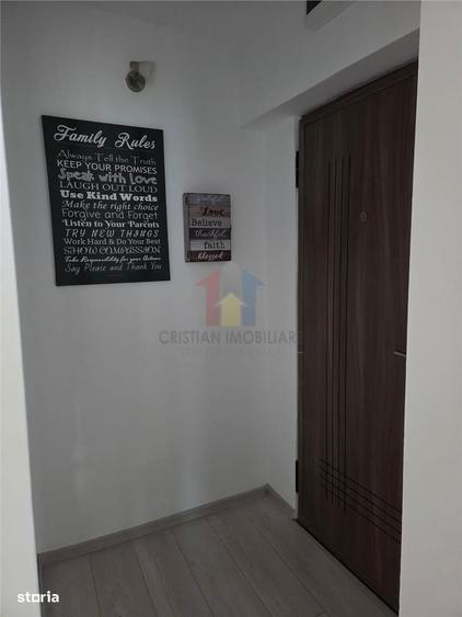 2 camere, Partial Mobilat si Utilat, Renovat, Vidin - 10