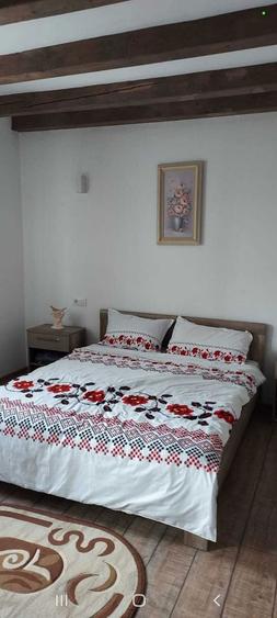 Vand casa Mihai Viteazu - 4