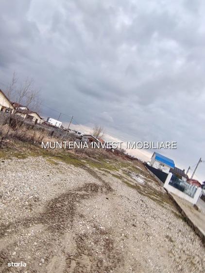 Oferta pretabil investitie! Teren 7000 mp. Bradu, stradal - 7
