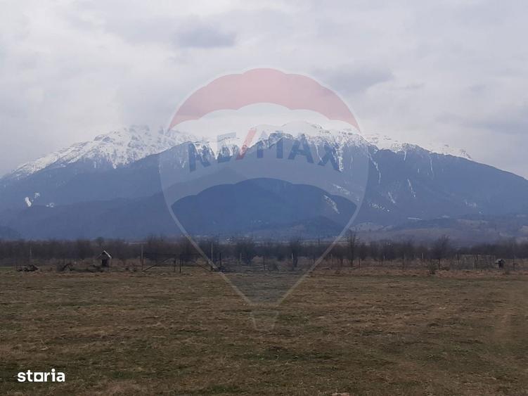 Teren 10,000mp Rasnov / Drumul Panicel - 3