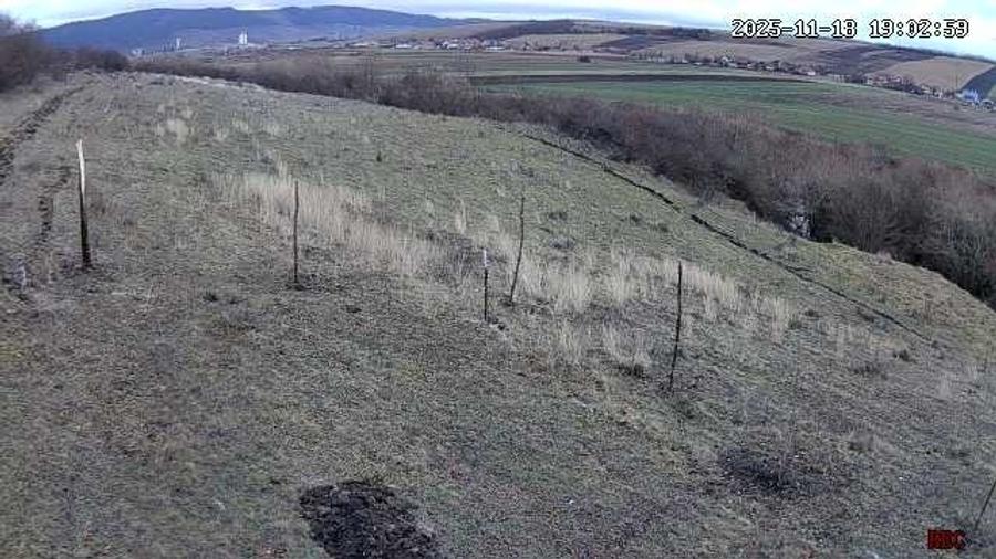 Vând 14800 mp teren extravilan in borsa catun - 1