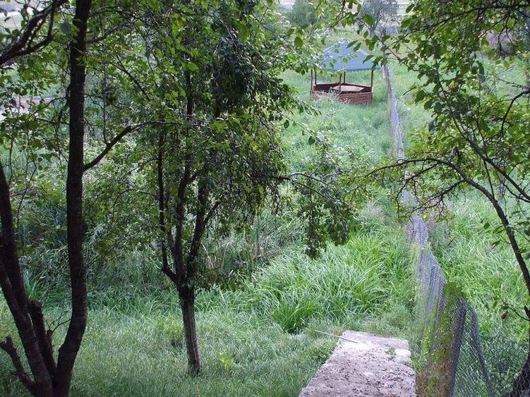 Casa de vanzare Albestii-Arges - 34