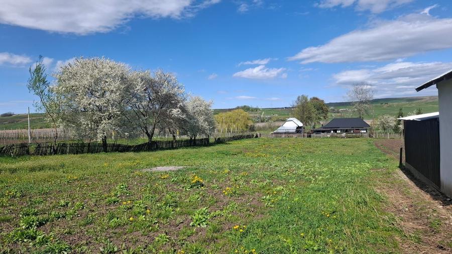 Teren intravilan 1800 mp, Pocoleni (Radaseni) - forma dreptunghiulara, posibilitate parcelare - 3