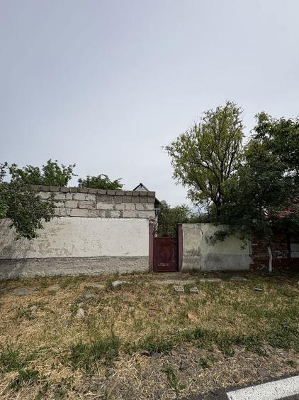 Casa variasu mare - 8