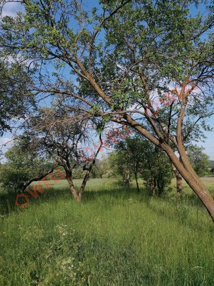 De vânzare teren intravilan în Estelnic! - 5