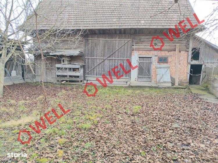 Proprietate cu 2 case de vanzare in Tamasfalau! - 9